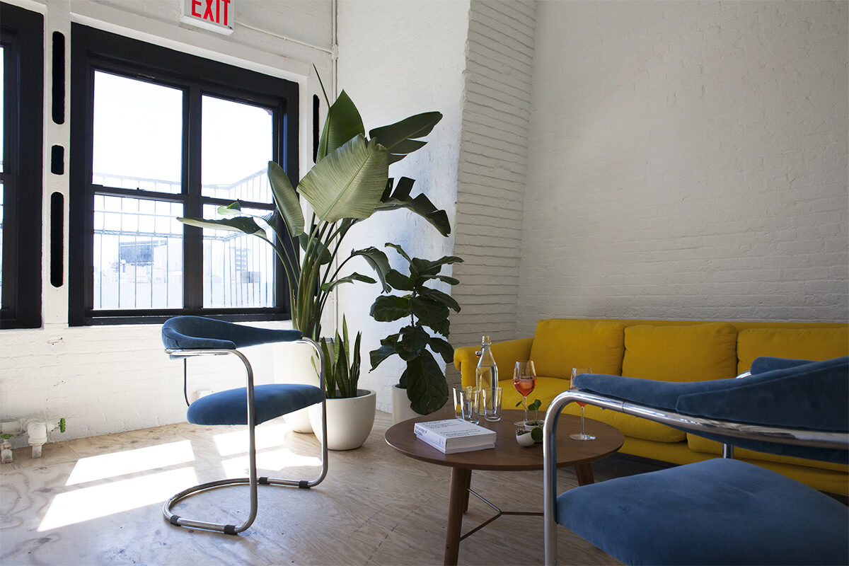 Sunlit lounge corner with a velvet sofa, plants, and drinks on a low wooden table