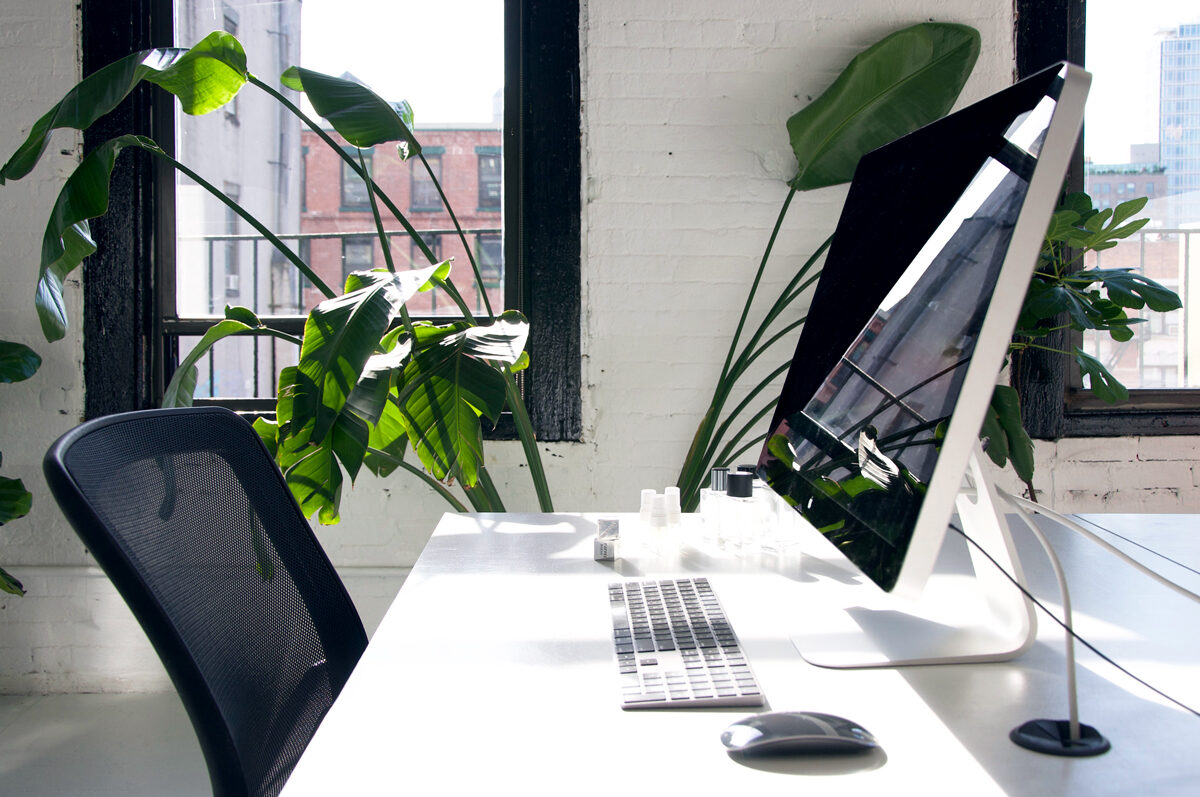 Workstation with monitor and plants by a Chinatown window